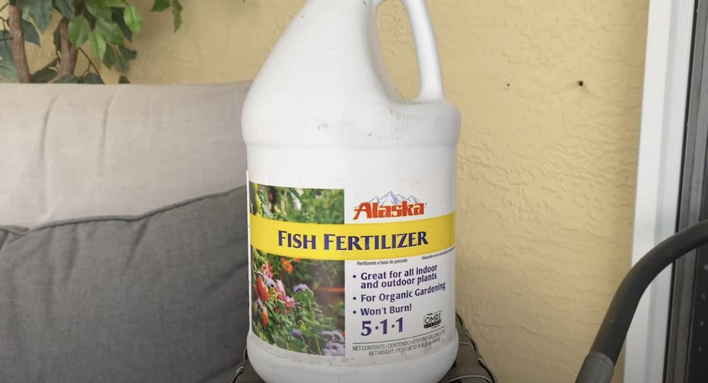 Fish Fertilizer